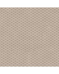 Anderson Tuftex Springer's Point Almond Carpet - ZZ049-00112