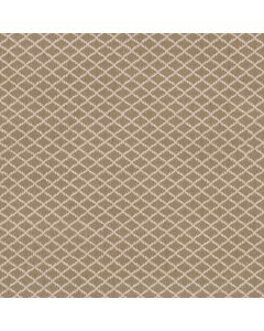 Anderson Tuftex Springer's Point Twilight Gold Carpet - ZZ049-00213