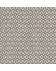 Anderson Tuftex Springer's Point Iced Marble Carpet - ZZ049-00514