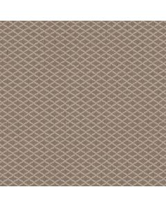 Anderson Tuftex Springer's Point Creekbed Carpet - ZZ049-00713