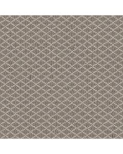 Anderson Tuftex Springer's Point Shoreline Carpet - ZZ049-00754