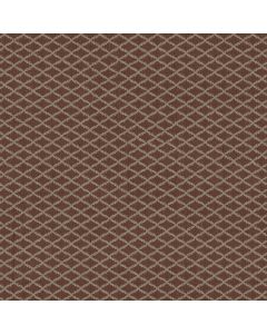 Anderson Tuftex Springer's Point Burnt Russet Carpet - ZZ049-00877