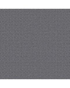Anderson Tuftex Stroll West Coast Carpet - ZZ050-00456