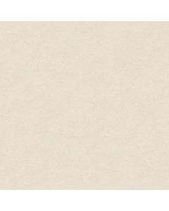 Anderson Tuftex Perfect Choice Soft Chamois Carpet - ZZ064-00121