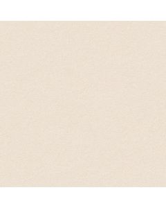 Anderson Tuftex Perfect Choice Aged Paper Carpet - ZZ064-00171