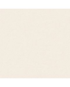 Anderson Tuftex Perfect Choice French White Carpet - ZZ064-00221