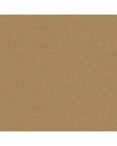 Anderson Tuftex Perfect Choice Barley Carpet - ZZ064-00227