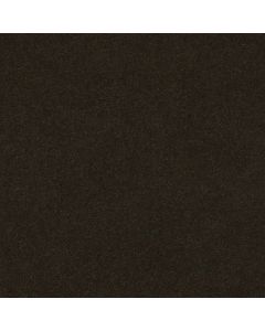 Anderson Tuftex Perfect Choice Fir Carpet - ZZ064-00339