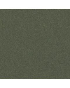Anderson Tuftex Perfect Choice Dynasty Green Carpet - ZZ064-00356