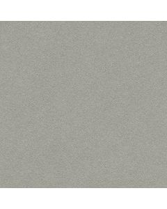 Anderson Tuftex Perfect Choice Chelsea Fog Carpet - ZZ064-00544
