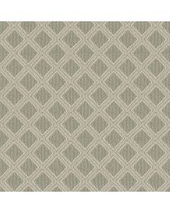 Anderson Tuftex Scout Soft Fern Carpet - ZZ073-00312