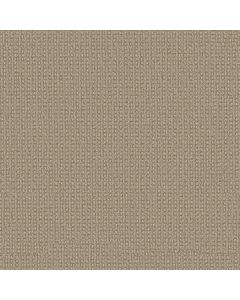 Anderson Tuftex Fetch Sesame Carpet - ZZ074-00213
