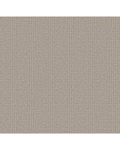 Anderson Tuftex Fetch Oyster Shell Carpet - ZZ074-00511