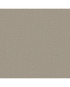 Anderson Tuftex Fetch Briarwood Carpet - ZZ074-00712
