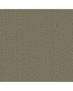 Anderson Tuftex Fetch Desert Palm Carpet - ZZ074-00717