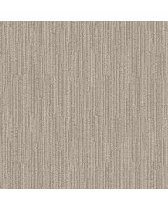 Anderson Tuftex Chase Oyster Shell Carpet - ZZ075-00511