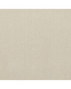 Anderson Tuftex Mosaic Almond Milk Carpet - ZZ076-00101