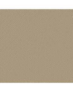 Anderson Tuftex Mosaic Bungalow Carpet - ZZ076-00103