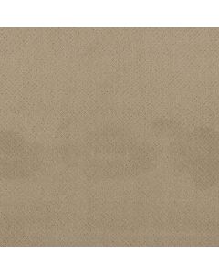 Anderson Tuftex Mosaic Oak Ridge Carpet - ZZ076-00114
