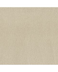 Anderson Tuftex Sketch Almond Milk Carpet - ZZ077-00101