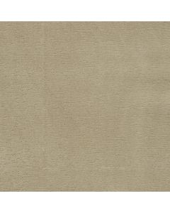 Anderson Tuftex Sketch Bungalow Carpet - ZZ077-00103