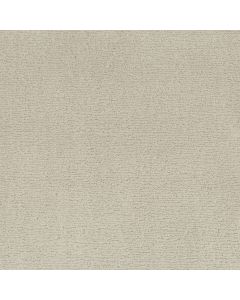 Anderson Tuftex Sketch Minimal Carpet - ZZ077-00112