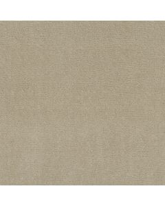 Anderson Tuftex Sketch Morning Light Carpet - ZZ077-00113