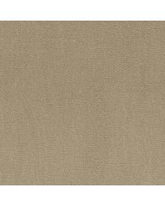Anderson Tuftex Sketch Oak Ridge Carpet - ZZ077-00114