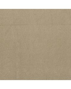 Anderson Tuftex Sketch Coronado Carpet - ZZ077-00115