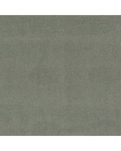 Anderson Tuftex Sketch Pine Forest Carpet - ZZ077-00314