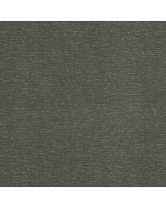 Anderson Tuftex Sketch Wonder Carpet - ZZ077-00316