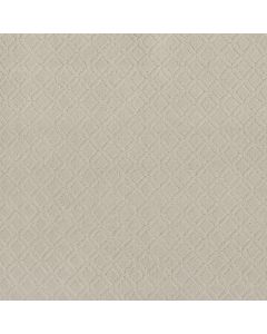 Anderson Tuftex Muse Minimal Carpet - ZZ078-00112