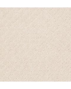 Anderson Tuftex Pawnache Barely Beige Carpet - ZZ080-00111