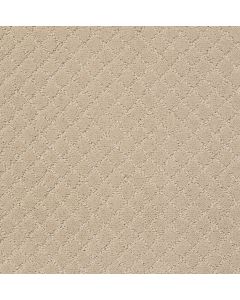 Anderson Tuftex Pawnache Toffee Cream Carpet - ZZ080-00183