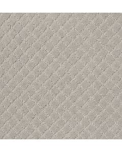 Anderson Tuftex Pawnache Calm Carpet - ZZ080-00510