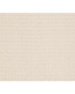Anderson Tuftex Pawstruck Barely Beige Carpet - ZZ081-00111
