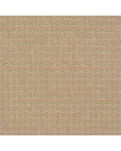 Anderson Tuftex Pawstruck Monterey Carpet - ZZ081-00115