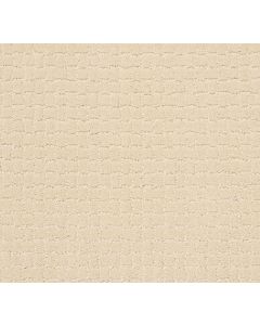 Anderson Tuftex Pawstruck Antiquity Carpet - ZZ081-00121