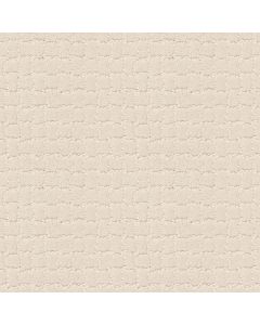 Anderson Tuftex Pawstruck Capri Coast Carpet - ZZ081-00181