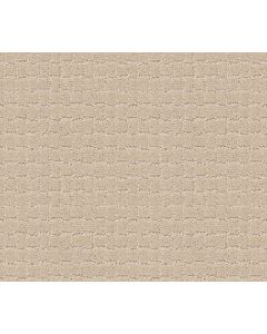 Anderson Tuftex Pawstruck Toffee Cream Carpet - ZZ081-00183