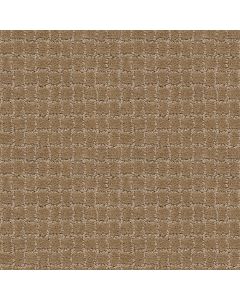 Anderson Tuftex Pawstruck Peanut Shell Carpet - ZZ081-00186