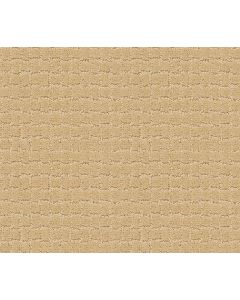 Anderson Tuftex Pawstruck Cork Carpet - ZZ081-00223