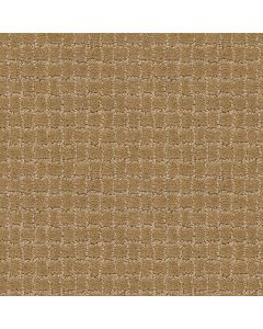 Anderson Tuftex Pawstruck Golden Straw Carpet - ZZ081-00224