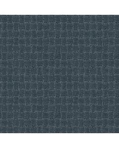 Anderson Tuftex Pawstruck Nimbus Carpet - ZZ081-00455