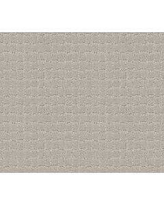 Anderson Tuftex Pawstruck Calm Carpet - ZZ081-00510