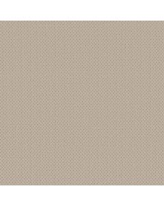 Anderson Tuftex Mera Natural Carpet - ZZ086-00113