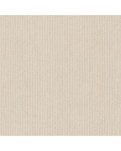 Anderson Tuftex Dynasty Winter Light Carpet - ZZ096-00173