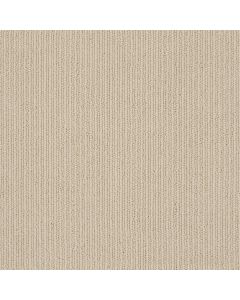 Anderson Tuftex Dynasty Oatmeal Carpet - ZZ096-00175