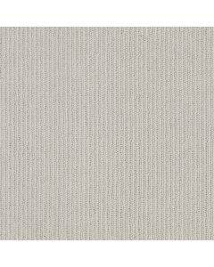 Anderson Tuftex Dynasty Whisper Carpet - ZZ096-00552