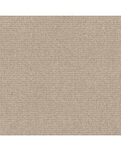 Anderson Tuftex Purrfection Champagne Carpet - ZZ097-00114